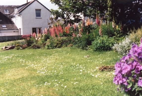 Image 0001