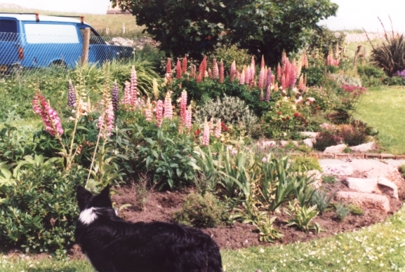 Image 0002