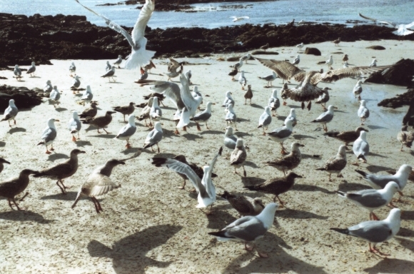 Image 0003