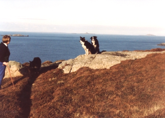 Image 0005