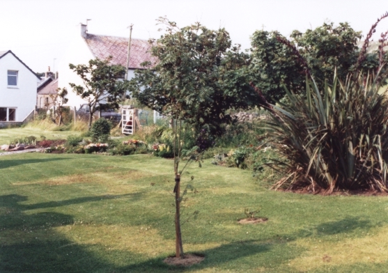 Image 0007